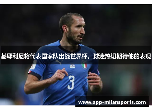 基耶利尼将代表国家队出战世界杯，球迷热切期待他的表现